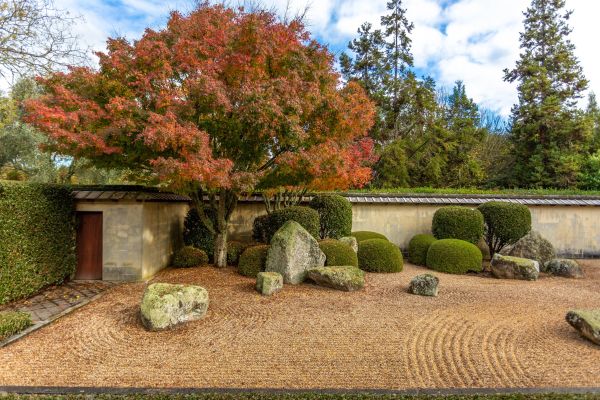 Top Tips for Seamlessly Adding a Rock Garden to Your Southeast UK Landscape