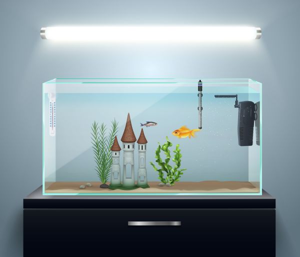 Ultimate guide to selecting the ideal uv filtration system for your aquarium at home in the uk